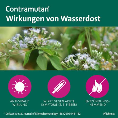 CONTRAMUTAN Tabletten CONTRAMUTAN Tabletten
