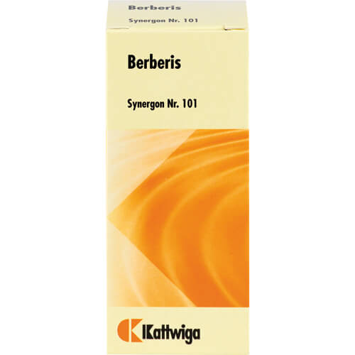 SYNERGON KOMPLEX 101 Berberis Tabletten SYNERGON KOMPLEX 101 Berberis Tabletten