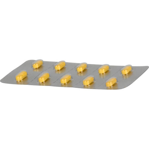 KARSIVAN 100 Filmtabletten f.Hunde KARSIVAN 100 Filmtabletten f.Hunde