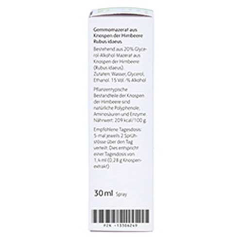 GEMMOMAZERAT Rubus idaeus Spray GEMMOMAZERAT Rubus idaeus Spray