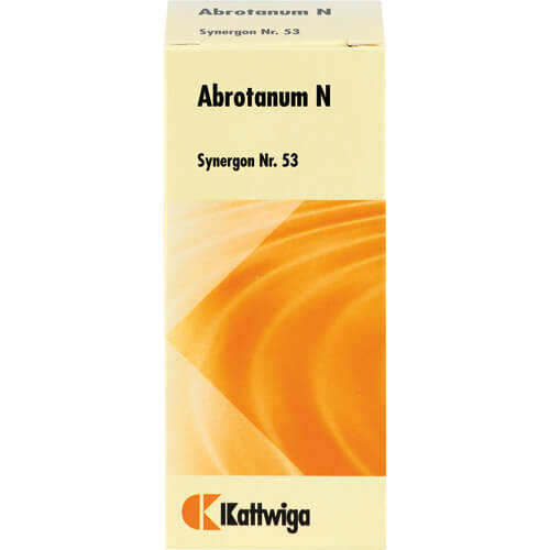 SYNERGON KOMPLEX 53 Abrotanum N Tabletten SYNERGON KOMPLEX 53 Abrotanum N Tabletten