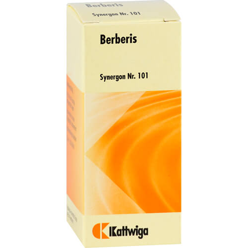 SYNERGON KOMPLEX 101 Berberis Tabletten SYNERGON KOMPLEX 101 Berberis Tabletten