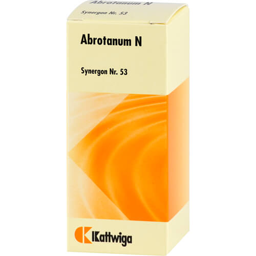 SYNERGON KOMPLEX 53 Abrotanum N Tabletten SYNERGON KOMPLEX 53 Abrotanum N Tabletten